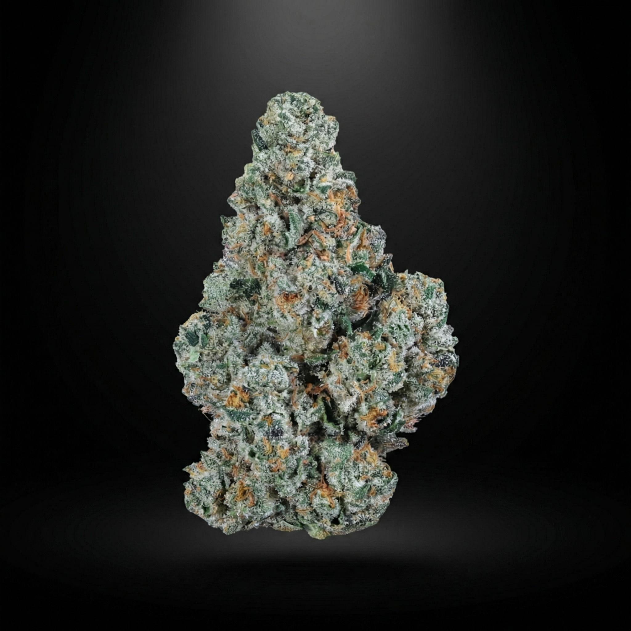 Jet Fuel Gelato THCa